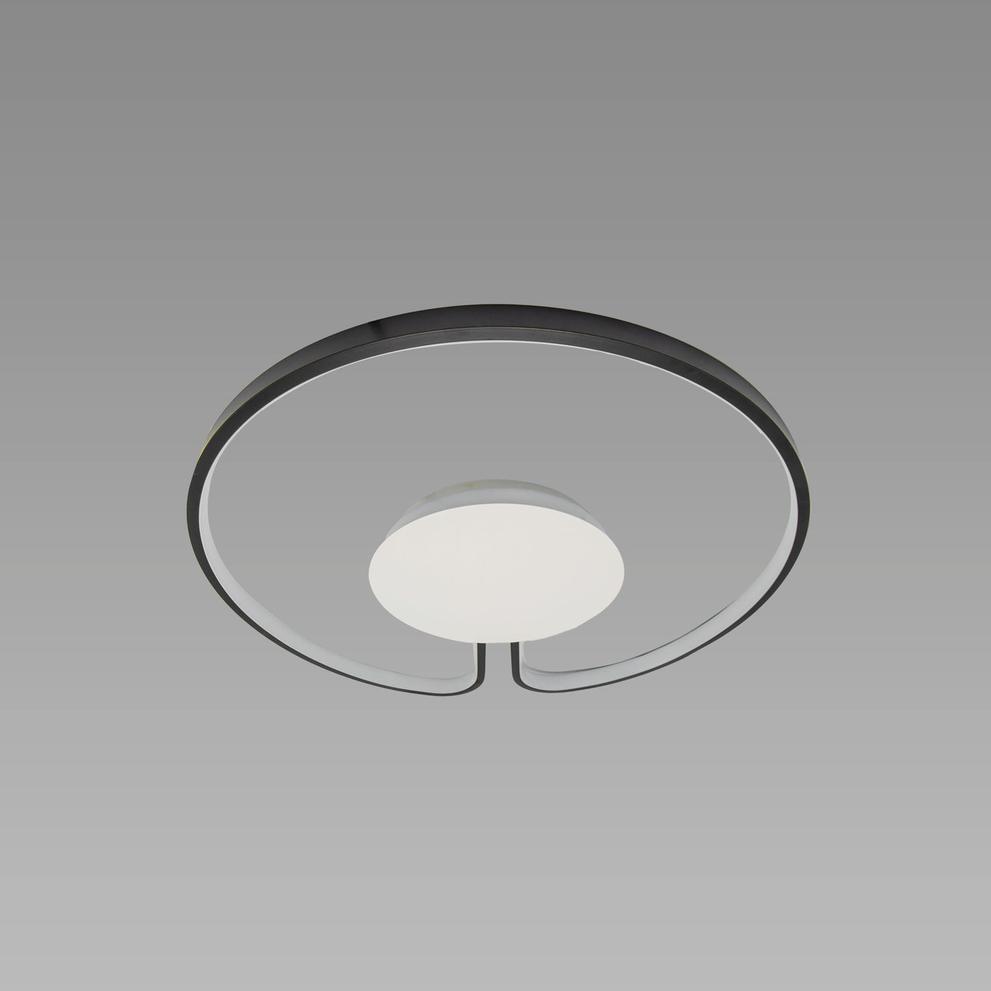 Lustra Eusebia 88W 601/500