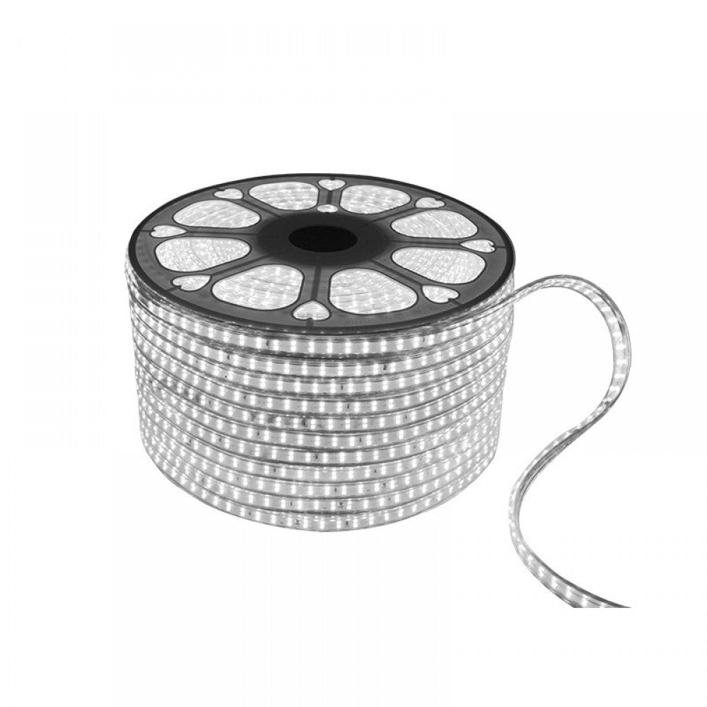Banda Led, 5050, 5 m, 11W/m, 6500K BD/5M/LR - LEDS