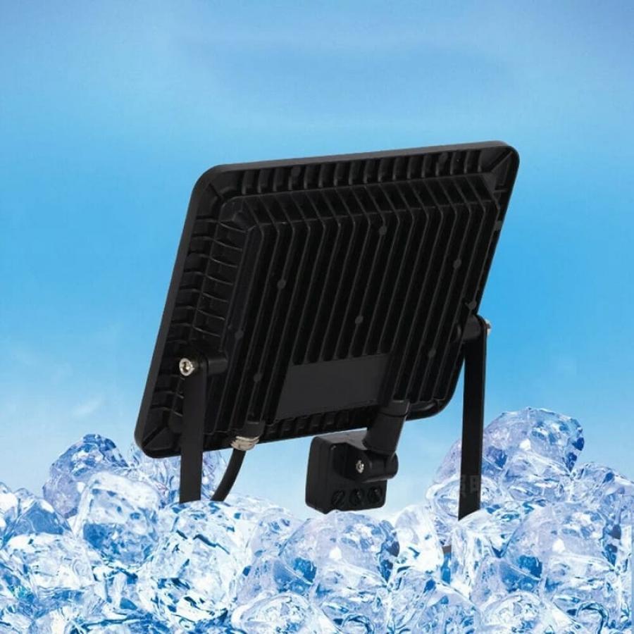 Proiector LED cu senzor Fantas, IP.65, 20W 6500K PR20W