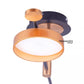 Lustra LED cu Telecomanda, 80W, Dimabila, Negru cu Auriu SX8601/4